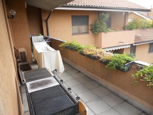 DSCN0030.JPG